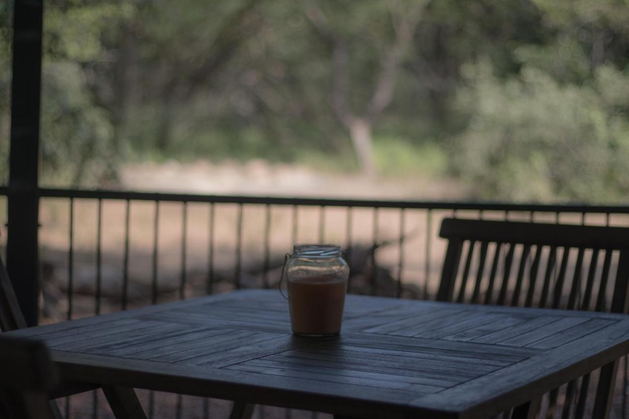Hello Kruger Hideaway Cottage & Skilpad Studio Marloth Park Kültér fotó