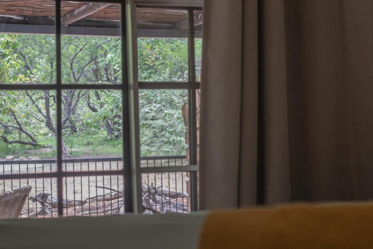 Hello Kruger Hideaway Cottage & Skilpad Studio Marloth Park Kültér fotó