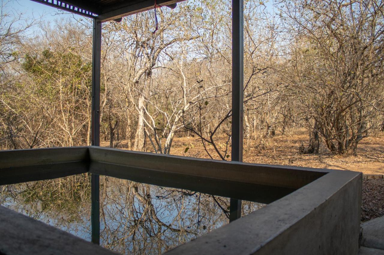 Hello Kruger Hideaway Cottage & Skilpad Studio Marloth Park Kültér fotó